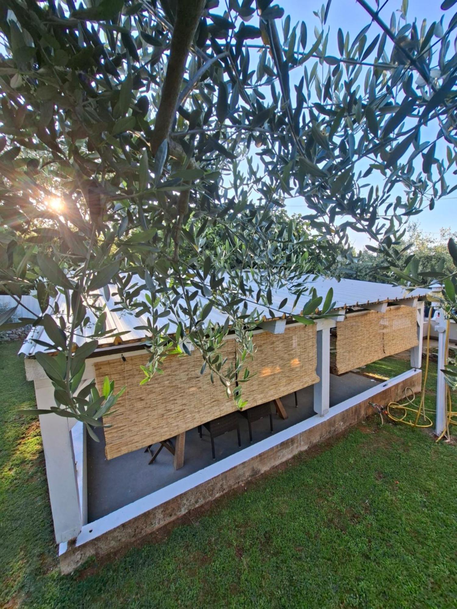 Martina Guest House Poreč Exterior foto